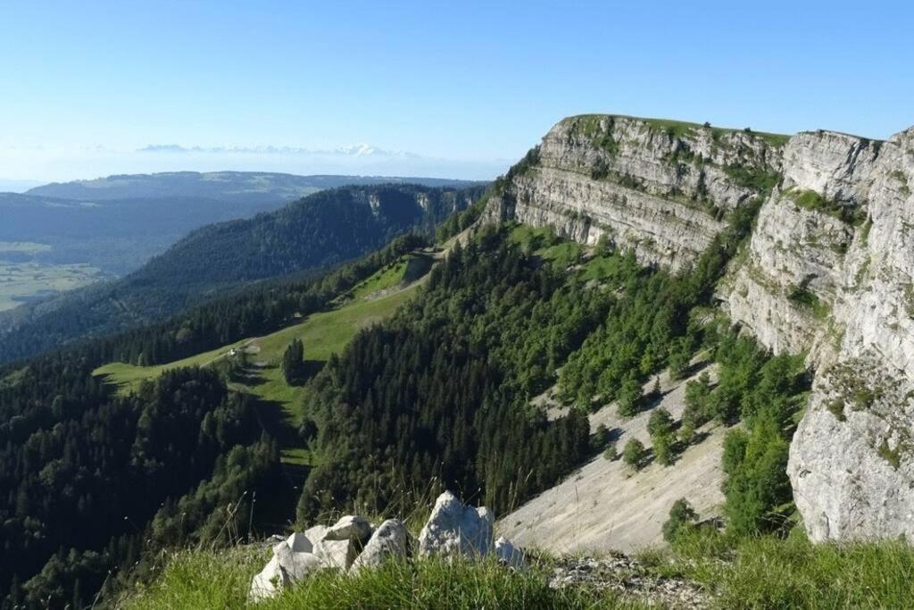 Studio « Le Petit Montagnard » Malbuisson Exterior foto